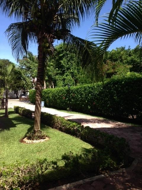 B&B Villa Hibiscus Playa del Carmen Exterior foto